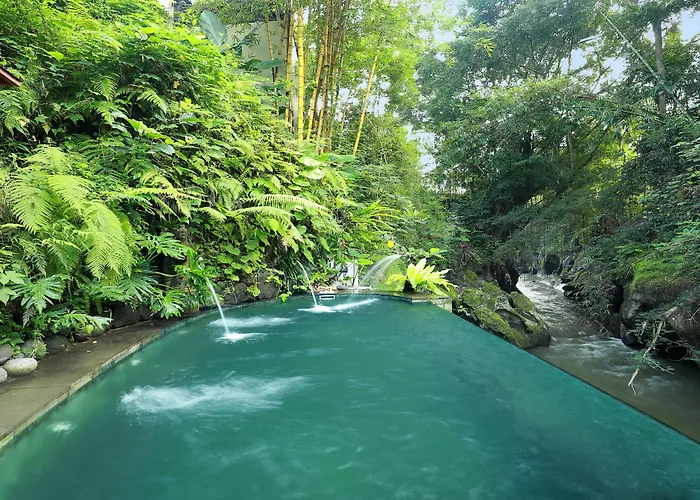 度假村 Seres Springs & Spa, Singakerta 乌布